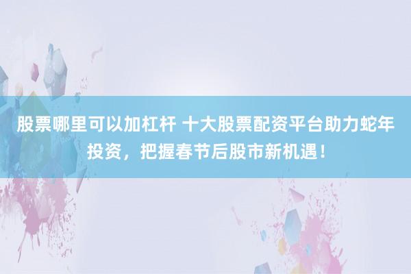 股票哪里可以加杠杆 十大股票配资平台助力蛇年投资，把握春节后股市新机遇！