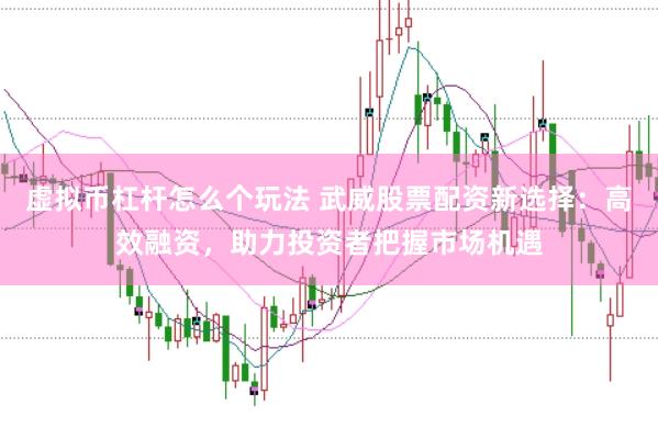 虚拟币杠杆怎么个玩法 武威股票配资新选择：高效融资，助力投资者把握市场机遇