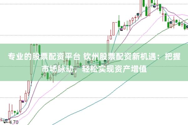 专业的股票配资平台 钦州股票配资新机遇：把握市场脉动，轻松实现资产增值