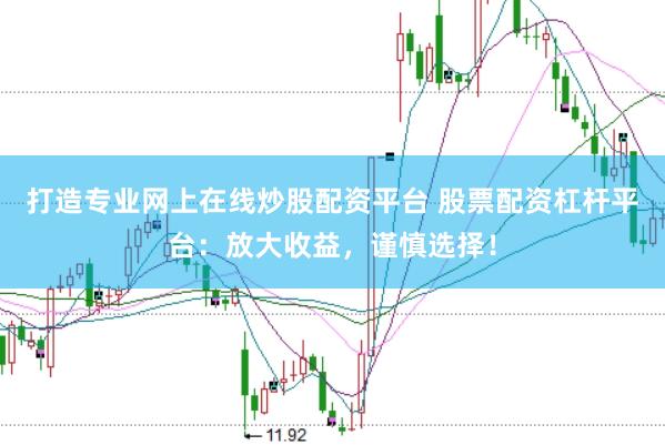 打造专业网上在线炒股配资平台 股票配资杠杆平台:放大收益,谨慎选择!