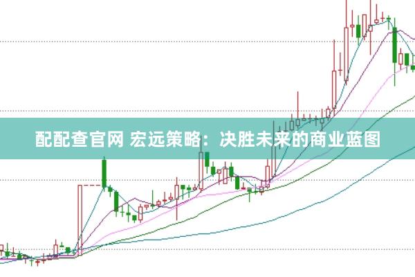 配配查官网 宏远策略：决胜未来的商业蓝图
