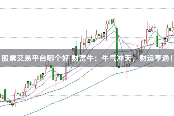 股票交易平台哪个好 财富牛：牛气冲天，财运亨通！
