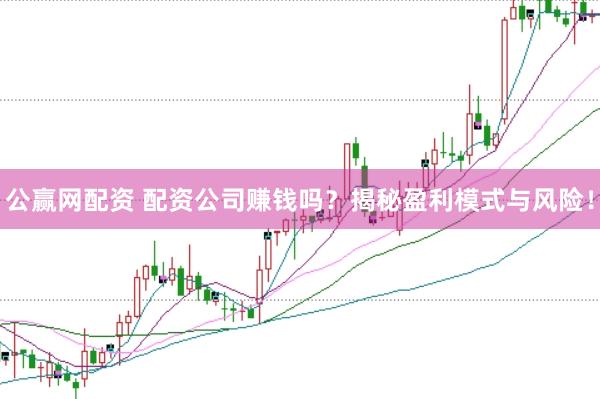 公赢网配资 配资公司赚钱吗？揭秘盈利模式与风险！