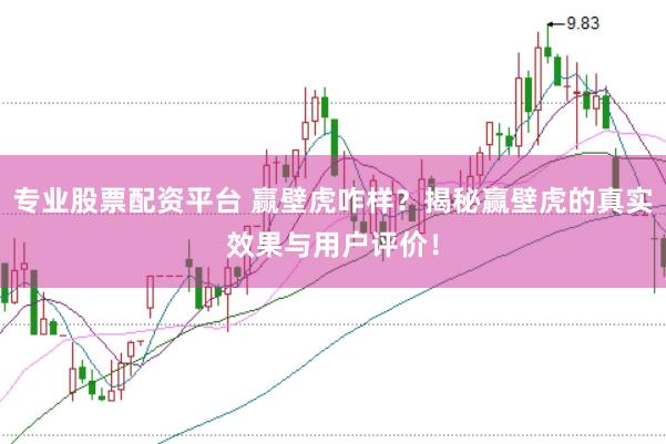 专业股票配资平台 赢壁虎咋样？揭秘赢壁虎的真实效果与用户评价！