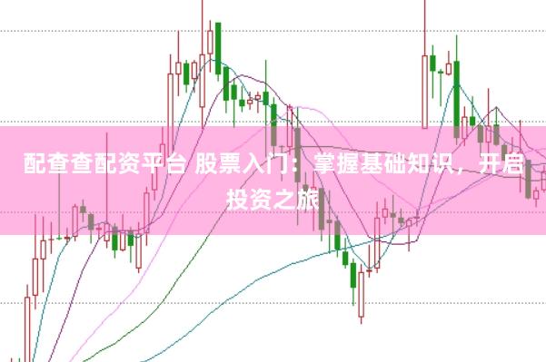 配查查配资平台 股票入门:掌握基础知识,开启投资之旅