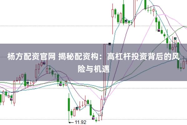 杨方配资官网 揭秘配资构:高杠杆投资背后的风险与机遇