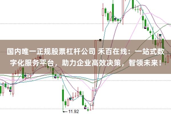 国内唯一正规股票杠杆公司 禾百在线：一站式数字化服务平台，助力企业高效决策，智领未来！