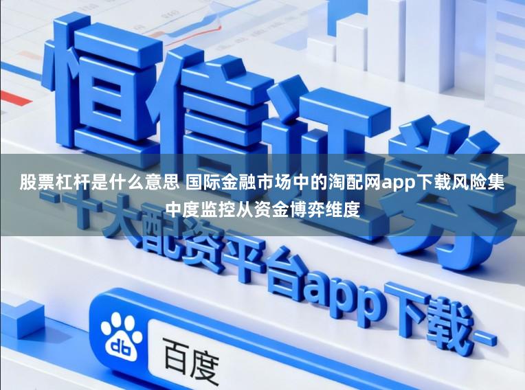 股票杠杆是什么意思 国际金融市场中的淘配网app下载风险集中度监控从资金博弈维度