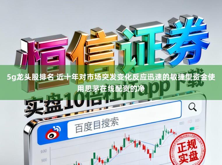 5g龙头股排名 近十年对市场突发变化反应迅速的敏捷型资金使用思茅在线配资的净