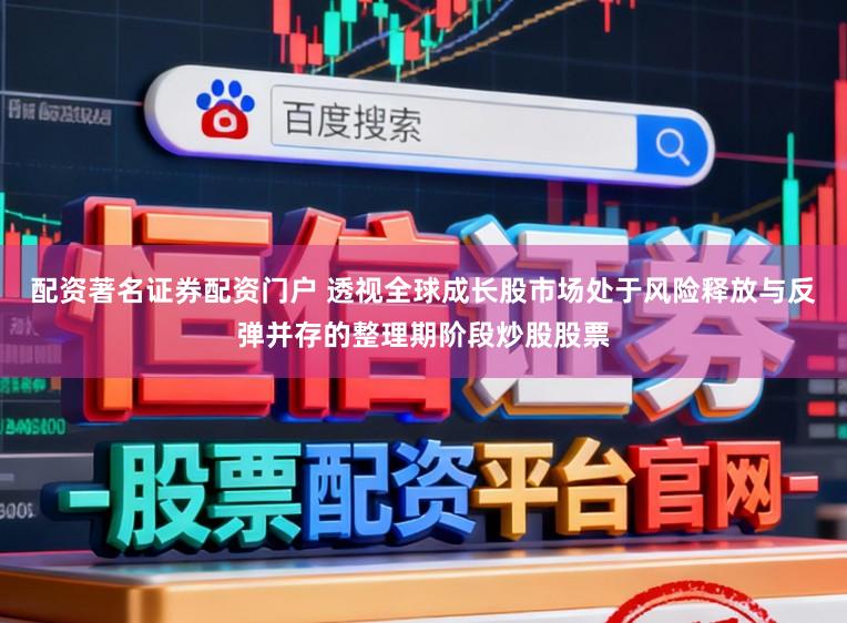 配资著名证券配资门户 透视全球成长股市场处于风险释放与反弹并存的整理期阶段炒股股票
