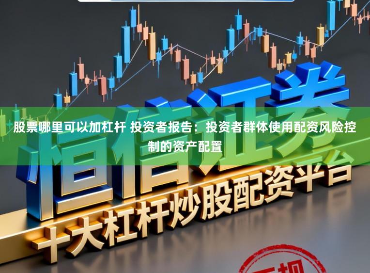 股票哪里可以加杠杆 投资者报告：投资者群体使用配资风险控制的资产配置